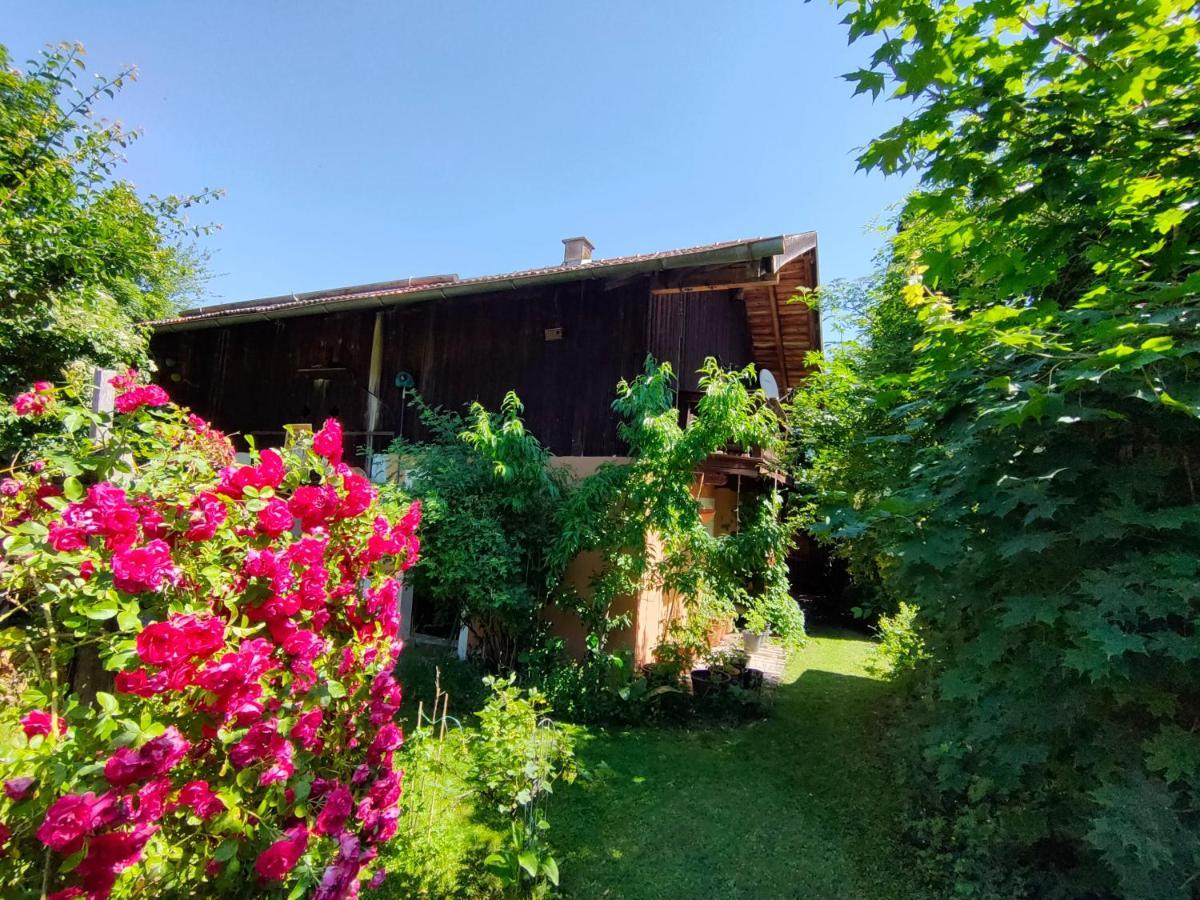 Gemuetliche Ferienwohnung Mit Kamin Und Garten ガルミッシュ・パルテンキルヒェン エクステリア 写真